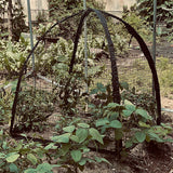 Shade Net Plant Cover