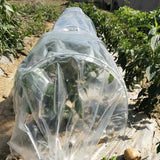 Easy Tunnels /Vegetable Tunnels /Covers