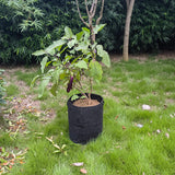 Vigoroot Planters/Bags