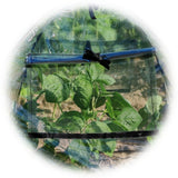 Clear Plant Warm Cover