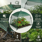 Square Shade & Insect Net