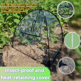 Clear Plant Warm Cover