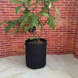 Vigoroot Planters/Bags